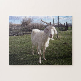Eén jonge geit legpuzzel