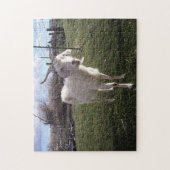 Eén jonge geit legpuzzel (Verticaal)