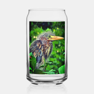 Een jonge Groene Reiger (Butorides virescens) Blikvorm Glas