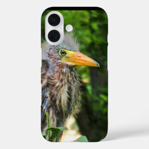 Een jonge groene reiger iPhone 16 hoesje