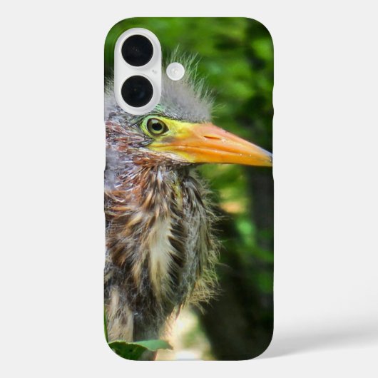 Een jonge groene reiger Case-Mate iPhone case (Achterkant)