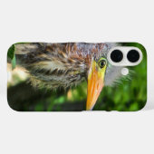 Een jonge groene reiger Case-Mate iPhone case (Achterkant (horizontaal))