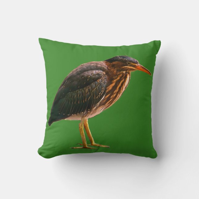Een jonge Groene Reiger  Kussen (Voorkant)