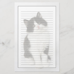 Een jonge kitten die in de camera kijken briefpapier