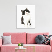 Een jonge kitten die in de camera kijken canvas afdruk (Insitu (Woonkamer))