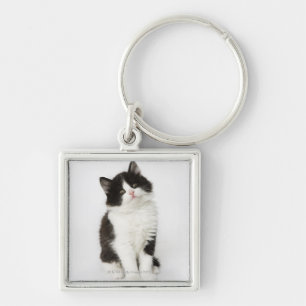 Een jonge kitten die in de camera kijken sleutelhanger