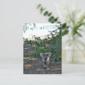 Een jonge koala loopt op het strand briefkaart (Staand voorkant)