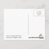 Een jonge koala zit in een boom bij het strand briefkaart (Achterkant)