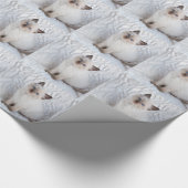 Een jonge ragdolkat zit op de stoel cadeaupapier (Hoek)