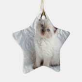 Een jonge ragdolkat zit op de stoel keramisch ornament (Rechts)