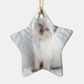 Een jonge ragdolkat zit op de stoel keramisch ornament (Links)