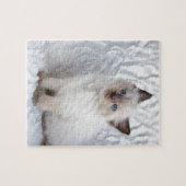 Een jonge ragdolkat zit op de stoel legpuzzel (Horizontaal)