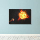 Een jonge rode dwerg canvas afdruk (Insitu (Houten vloer))