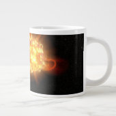 Een jonge rode dwerg grote koffiekop (Rechts)