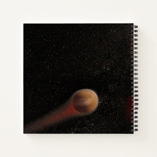 Een jonge rode dwerg notitieboek (Achterkant)