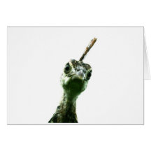 Een jonge vredestichter die overijvert om dag te z