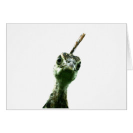 Een jonge vredestichter die overijvert om dag te z