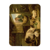 Een jongen die een varkensstaart bekijkt, 1794 (ol magneet (Verticaal)