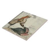 Een joodse vrouw uit Gibraltar, van 'Schetsen van Tegeltje (Zijkant)