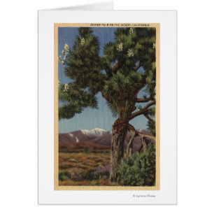 Een Joshua-palm in Bloom in de Californische woest