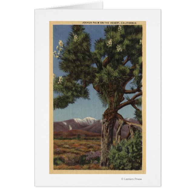 Een Joshua-palm in Bloom in de Californische woest (Voorkant)