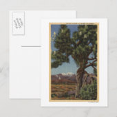 Een Joshua-palm in Bloom in de Californische woest Briefkaart (Voorkant / Achterkant)