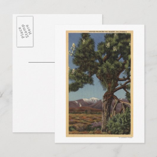 Een Joshua-palm in Bloom in de Californische woest Briefkaart (Voorkant / Achterkant)