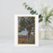 Een Joshua-palm in Bloom in de Californische woest Briefkaart (Staand voorkant)