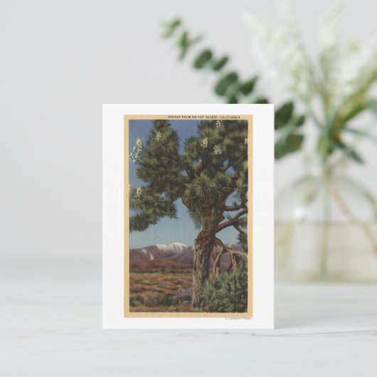 Een Joshua-palm in Bloom in de Californische woest Briefkaart (Staand voorkant)