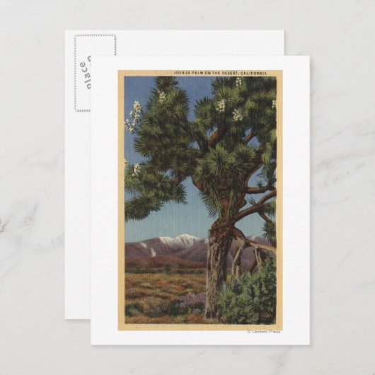 Een Joshua-palm in Bloom in de Californische woest Briefkaart (Voorkant / Achterkant)