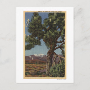 Een Joshua-palm in Bloom in de Californische woest Briefkaart
