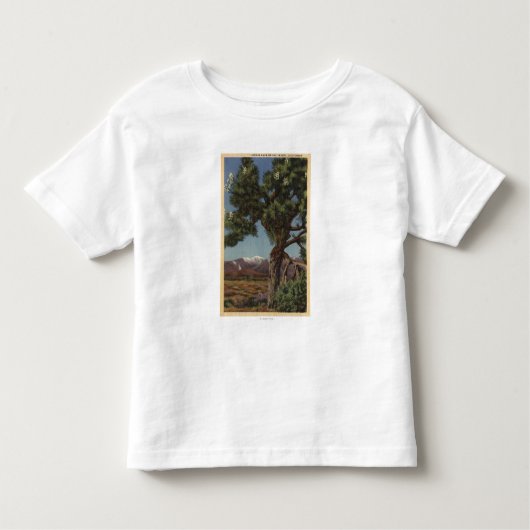 Een Joshua-palm in Bloom in de Californische woest Kinder Shirts (Voorkant)