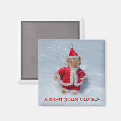 EEN JUISTE JOLLY OUD ELF. MAGNEET (Voorkant / Achterkant)