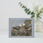 Een kaal Portret van de Familie van Eagle Briefkaart (Staand voorkant)