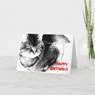 Een kaart van de Verjaardag - helft-Birmaanse Kat