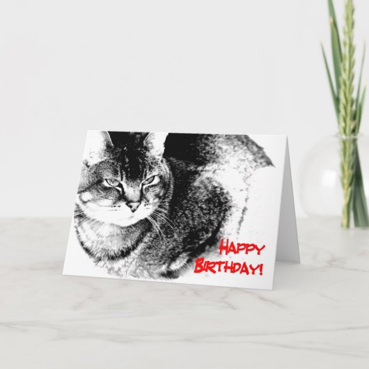 Een kaart van de Verjaardag - helft-Birmaanse Kat (Voorkant)