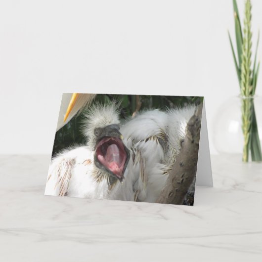 Een Kaart van een vogelgeboorte (Voorkant)