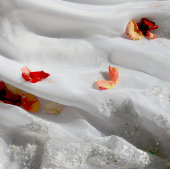 Een Kaart voor een bruiloft