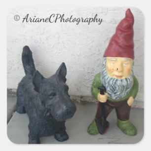 Een kabouter en zijn hond stickers