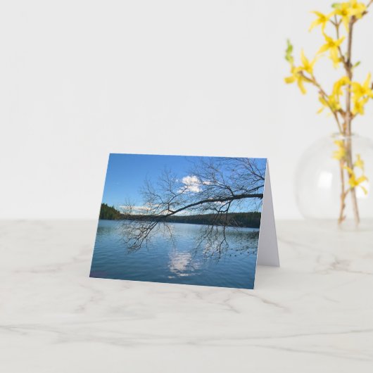 Een kale tak over het meer kaart (Gele Bloem)