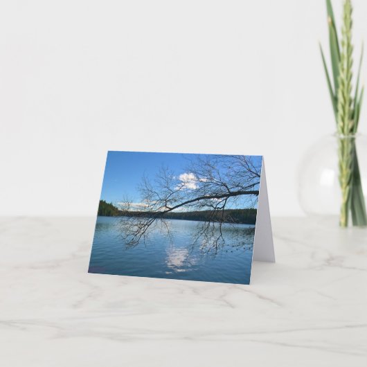 Een kale tak over het meer kaart (Voorkant)