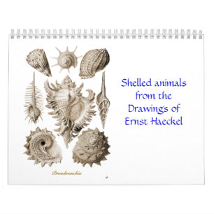 Een kalender met schottekeningen van Ernst Haeckel