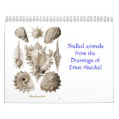 Een kalender met schottekeningen van Ernst Haeckel (Hoes)