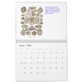 Een kalender met schottekeningen van Ernst Haeckel (Mar 2027)