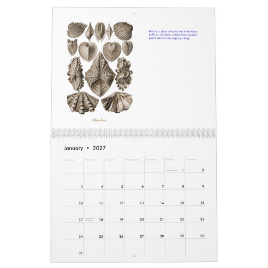Een kalender met schottekeningen van Ernst Haeckel (Jan 2027)