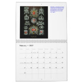 Een kalender met schottekeningen van Ernst Haeckel (Feb 2027)
