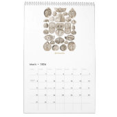 Een kalender met schottekeningen van Ernst Haeckel (Mar 2026)