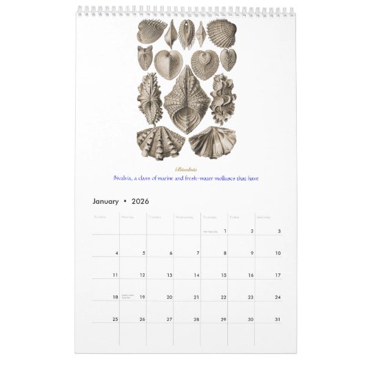 Een kalender met schottekeningen van Ernst Haeckel (Jan 2026)
