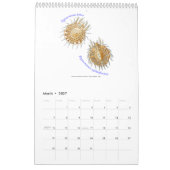 Een kalender met spinnen van Ernst Haeckel. (Mar 2027)