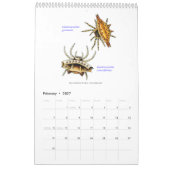 Een kalender met spinnen van Ernst Haeckel. (Feb 2027)